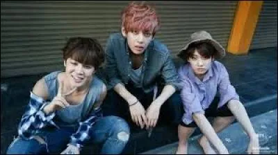 Quels membres font partie de la 95'lines ?