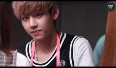 Quels rôles a Rap Monster au sein du groupe ?