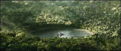 Comment fonctionne l'arène dans le deuxième tome ?