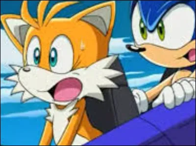 Dans l'épisode 8, qu'arrive-t-il au Tornado de Tails ?
