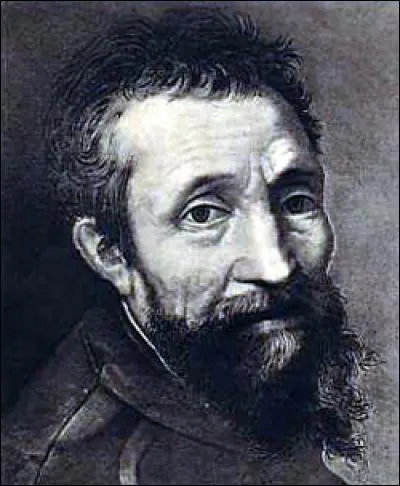Michel-Ange était homosexuel.