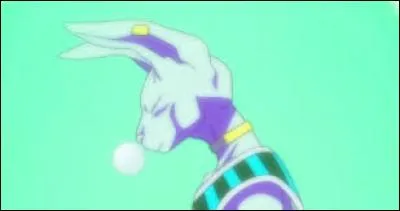 Combien de temps Beerus a-t-il dormi dans le film "Battle of Gods" ?