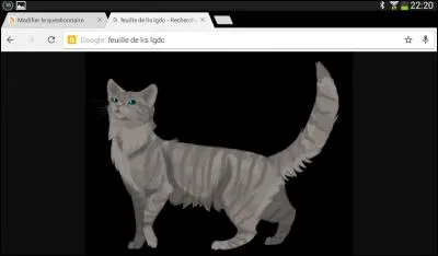 Qui est ce(tte) chat(te) qui fréquente la Forêt sombre ?