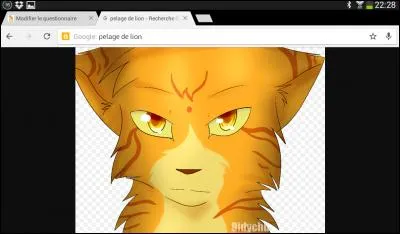 Donnez-moi le nom de ce chat :