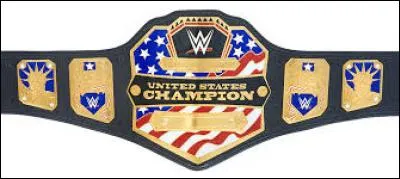 Quel est le nom de cette ceinture ?