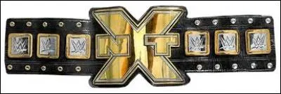 Comment se nomme cette ceinture ?