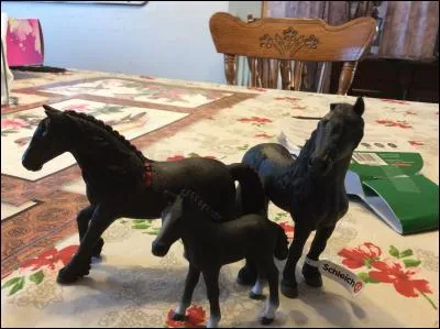 À quelle race appartiennent ces petites douceurs ?