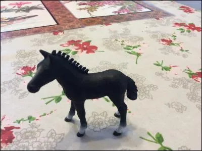 Comment appelle-t-on ce qu'il a sur la crinière ?