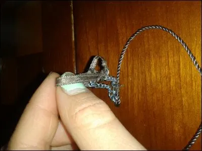 Comment se met ce licol ?