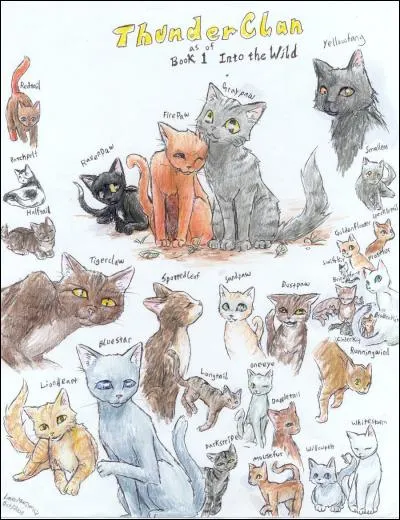 Et quel est le nom français du successeur de Tonnerre ?