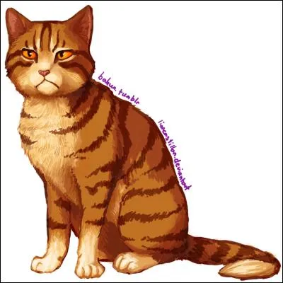 De quel Clan, Tribu ou autres, Tonnerre est-il un descendant ?