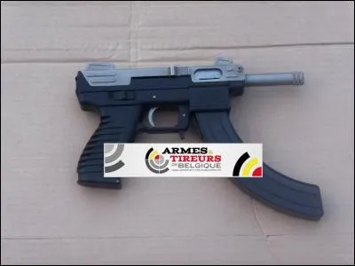 Ce pistolet de "plinking" utilisant des chargeurs Ruger est construit par :