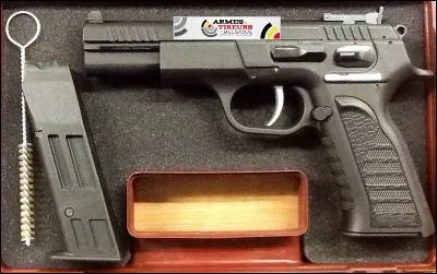 Ce pistolet est d'origine :