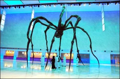 Pourquoi ne fallait-il pas tuer les araignées au Qatar ?