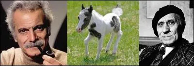 A partir d'un poème de Paul fort. Avez-vous reconnu cette chanson ?

Mais un jour, dans le mauvais temps, 
Un jour qu'il était si sage, 
Il est mort par un éclair blanc, 
Tous derrière tous derrière, 
Il est mort par un éclair blanc,