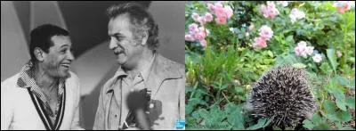 Georges chante avec un autre artiste et un choeur ! Ce qui est rare ! La chanson date de 1979.
Quelle est cette chanson ?

Quelle est la fée dans ce livre
Qui me donn'ra l'envie d'vivre
Quelle est la petite fille aux yeux bleus
Qui va m'rendre heureux