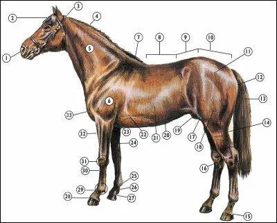 Que désigne le numéro 33 ?
