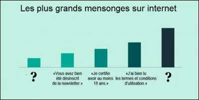 Internet - Quel est le mensonge le plus courant et le plus gros ?