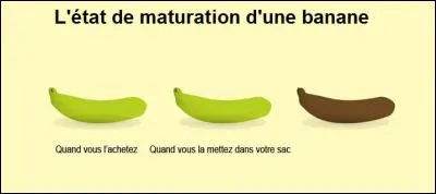 Consommation - À quel moment de votre vie intervient le 3e stade sur le schéma ?