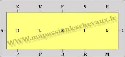 Quelles figures de manège sont vraies ?