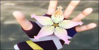 Qui a donné ce porte-bonheur à Sora ?