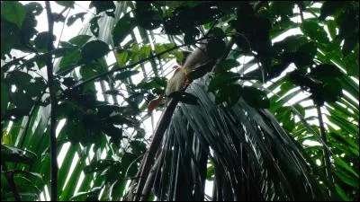 Un langage que nous avons tous parlé couramment, du temps où nos petites fesses étaient encore toutes roses !