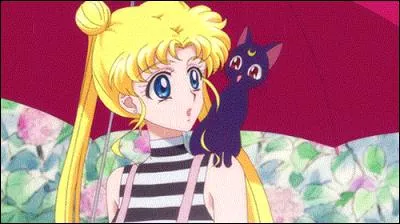 Comment se nomme le chat de Usagi (Sailor Moon) ?