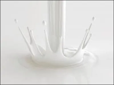 Lequel de ces laits est considéré comme étant le lait le plus proche de celui de la femme ?