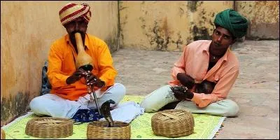 Bon, mais charmer les serpents, ça ne fait de mal à personne, non ?