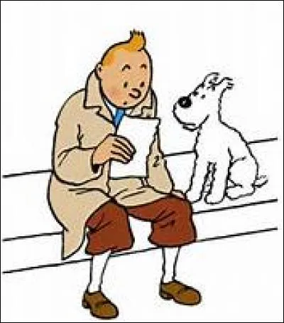 Dans quel album se trouve cette image ?