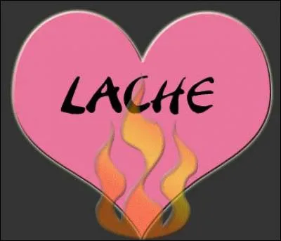 On connaît l'expression "lâche-moi les basques", que signifie le mot "basques" ?