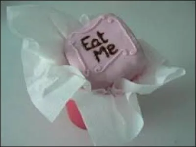 Comment s'appelle le gâteau qui la fait grandir ?