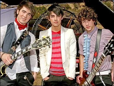Dans quels films ont jou les Jonas brothers ?