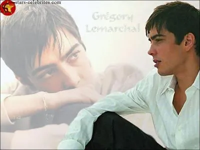 De quoi est mort Grgory Lemarchal ?