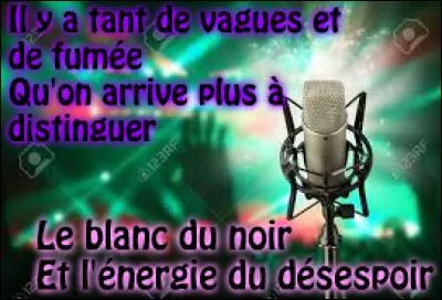 Qui a chanté "Le paradis blanc" ?