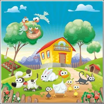 Où se trouve le poussin gris ?