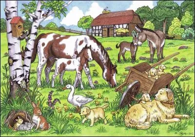 Un oiseau vole vers le nichoir. Que tient-il dans son bec ? (L'image peut être agrandie.)