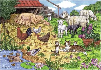 Que veut attraper le chaton qui est debout sur ses pattes arrière ?