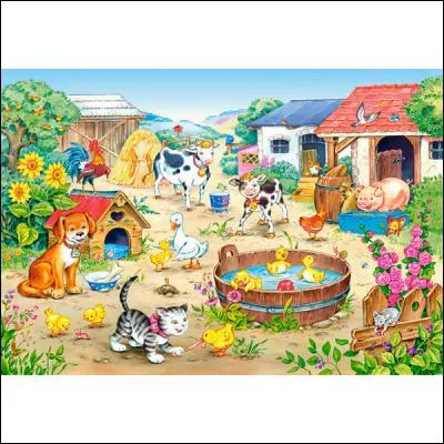 Où poussent les tournesols à fleurs jaunes ?