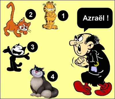 Quel est le chat que Gargamel appelle ?
