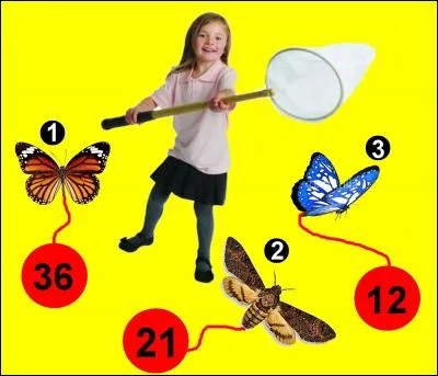 Si je vous dis "Où habite l'assassin". Quel papillon doit-elle attraper ?