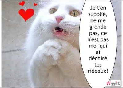 Quel fut le dernier film d'Hitchcock ?