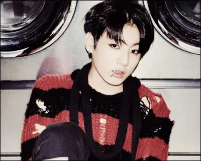 Qu'aime-t-il le plus manger ?