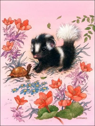 La moufette, à l'inverse du putois ne sent pas mauvais et s'apprivoise facilement. Certains canadiens en font des animaux de compagnie :