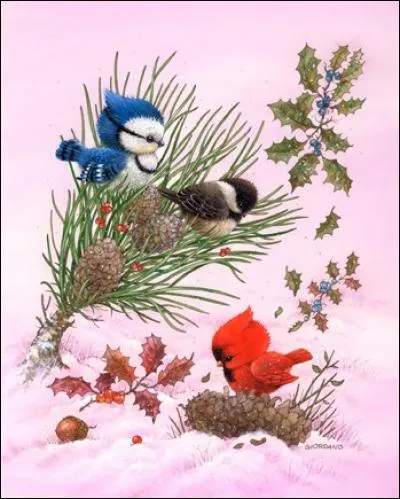 Si je vous parle d'un passereau d'Amérique du Nord de couleur rouge, à quel oiseau pensez-vous ?