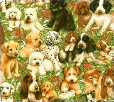 Combien de chiens et chats sont abandonnés par leur maîtres au cours d'une année, en France ?