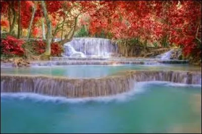 On se rapproche des célébrités, mais auparavant je vous emmène voir les cascades de Kuang Si !