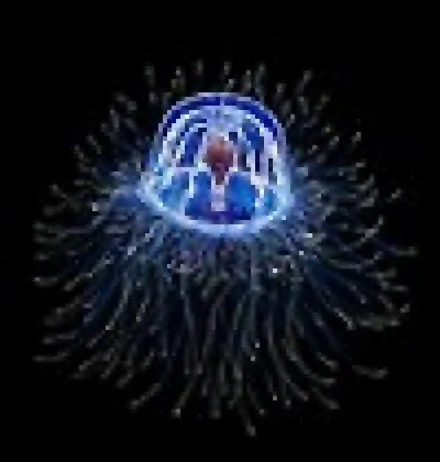 Quel(s) être(s) vivant(s) existe(nt) vraiment ?