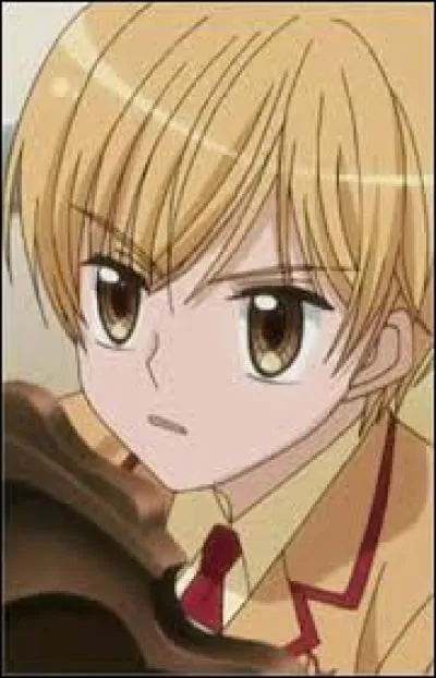 Quelle f&eacute;e de la p&acirc;tisserie aide Kashino ?