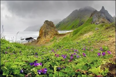 Quel est cet archipel de l'Extrême-Orient russe, situé dans le sud de la mer de Béring et qui constitue la partie russe des îles Aléoutiennes, majoritairement américaines ?